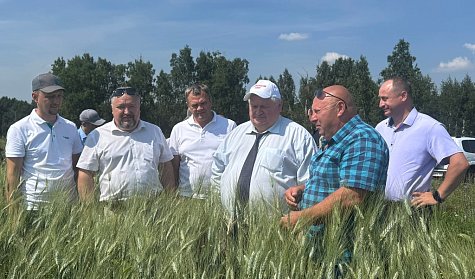 Оренбуржье приступило к уборке урожая